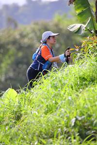 BIB: 
                            <button type="button" onclick="openModal(13210528)" class="btn btn-primary btn-sm float-right btn-popup" data-toggle="modal" data-target=".modal-high-quality">
                        <i class="fas fa-shopping-cart"></i> Add to Cart
                    </button>
                                            <button type="button" onclick="isThisMe(13210528, true)" class="btn btn-success btn-sm float-right btn-popup btn-isme hidden" data-toggle="tooltip" data-placement="bottom" title="นี่คือรูปของคุณใช่ไหม คลิกที่นี่เพื่อเอาเข้าอัลบั้ม">
                        <i class="fas fa-plus"></i> Add to album
                    </button>
                    <button type="button" onclick="isThisMe(13210528, false)" class="btn btn-warning btn-sm float-right btn-popup btn-isnotme hidden">
                        <i class="fas fa-ban"></i> Remove from album
                    </button>