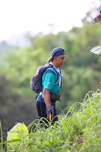 BIB: 
                            <button type="button" onclick="openModal(13210039)" class="btn btn-primary btn-sm float-right btn-popup" data-toggle="modal" data-target=".modal-high-quality">
                        <i class="fas fa-shopping-cart"></i> Add to Cart
                    </button>
                                            <button type="button" onclick="isThisMe(13210039, true)" class="btn btn-success btn-sm float-right btn-popup btn-isme hidden" data-toggle="tooltip" data-placement="bottom" title="นี่คือรูปของคุณใช่ไหม คลิกที่นี่เพื่อเอาเข้าอัลบั้ม">
                        <i class="fas fa-plus"></i> Add to album
                    </button>
                    <button type="button" onclick="isThisMe(13210039, false)" class="btn btn-warning btn-sm float-right btn-popup btn-isnotme hidden">
                        <i class="fas fa-ban"></i> Remove from album
                    </button>