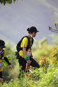 BIB: 
                            <button type="button" onclick="openModal(13210152)" class="btn btn-primary btn-sm float-right btn-popup" data-toggle="modal" data-target=".modal-high-quality">
                        <i class="fas fa-shopping-cart"></i> Add to Cart
                    </button>
                                            <button type="button" onclick="isThisMe(13210152, true)" class="btn btn-success btn-sm float-right btn-popup btn-isme hidden" data-toggle="tooltip" data-placement="bottom" title="นี่คือรูปของคุณใช่ไหม คลิกที่นี่เพื่อเอาเข้าอัลบั้ม">
                        <i class="fas fa-plus"></i> Add to album
                    </button>
                    <button type="button" onclick="isThisMe(13210152, false)" class="btn btn-warning btn-sm float-right btn-popup btn-isnotme hidden">
                        <i class="fas fa-ban"></i> Remove from album
                    </button>