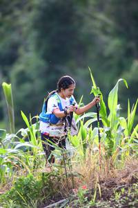 BIB: 
                            <button type="button" onclick="openModal(13209414)" class="btn btn-primary btn-sm float-right btn-popup" data-toggle="modal" data-target=".modal-high-quality">
                        <i class="fas fa-shopping-cart"></i> Add to Cart
                    </button>
                                            <button type="button" onclick="isThisMe(13209414, true)" class="btn btn-success btn-sm float-right btn-popup btn-isme hidden" data-toggle="tooltip" data-placement="bottom" title="นี่คือรูปของคุณใช่ไหม คลิกที่นี่เพื่อเอาเข้าอัลบั้ม">
                        <i class="fas fa-plus"></i> Add to album
                    </button>
                    <button type="button" onclick="isThisMe(13209414, false)" class="btn btn-warning btn-sm float-right btn-popup btn-isnotme hidden">
                        <i class="fas fa-ban"></i> Remove from album
                    </button>