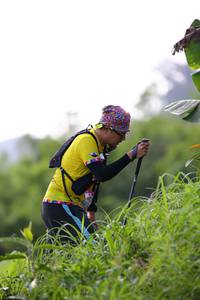 BIB: 
                            <button type="button" onclick="openModal(13210075)" class="btn btn-primary btn-sm float-right btn-popup" data-toggle="modal" data-target=".modal-high-quality">
                        <i class="fas fa-shopping-cart"></i> Add to Cart
                    </button>
                                            <button type="button" onclick="isThisMe(13210075, true)" class="btn btn-success btn-sm float-right btn-popup btn-isme hidden" data-toggle="tooltip" data-placement="bottom" title="นี่คือรูปของคุณใช่ไหม คลิกที่นี่เพื่อเอาเข้าอัลบั้ม">
                        <i class="fas fa-plus"></i> Add to album
                    </button>
                    <button type="button" onclick="isThisMe(13210075, false)" class="btn btn-warning btn-sm float-right btn-popup btn-isnotme hidden">
                        <i class="fas fa-ban"></i> Remove from album
                    </button>