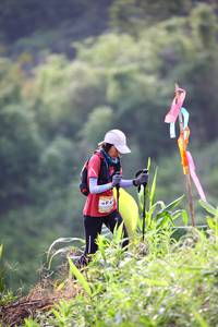 BIB: 
                            <button type="button" onclick="openModal(13209355)" class="btn btn-primary btn-sm float-right btn-popup" data-toggle="modal" data-target=".modal-high-quality">
                        <i class="fas fa-shopping-cart"></i> Add to Cart
                    </button>
                                            <button type="button" onclick="isThisMe(13209355, true)" class="btn btn-success btn-sm float-right btn-popup btn-isme hidden" data-toggle="tooltip" data-placement="bottom" title="นี่คือรูปของคุณใช่ไหม คลิกที่นี่เพื่อเอาเข้าอัลบั้ม">
                        <i class="fas fa-plus"></i> Add to album
                    </button>
                    <button type="button" onclick="isThisMe(13209355, false)" class="btn btn-warning btn-sm float-right btn-popup btn-isnotme hidden">
                        <i class="fas fa-ban"></i> Remove from album
                    </button>