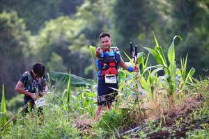 BIB: 4200, 402
                            <button type="button" onclick="openModal(13209221)" class="btn btn-primary btn-sm float-right btn-popup" data-toggle="modal" data-target=".modal-high-quality">
                        <i class="fas fa-shopping-cart"></i> Add to Cart
                    </button>
                                            <button type="button" onclick="isThisMe(13209221, true)" class="btn btn-success btn-sm float-right btn-popup btn-isme hidden" data-toggle="tooltip" data-placement="bottom" title="นี่คือรูปของคุณใช่ไหม คลิกที่นี่เพื่อเอาเข้าอัลบั้ม">
                        <i class="fas fa-plus"></i> Add to album
                    </button>
                    <button type="button" onclick="isThisMe(13209221, false)" class="btn btn-warning btn-sm float-right btn-popup btn-isnotme hidden">
                        <i class="fas fa-ban"></i> Remove from album
                    </button>