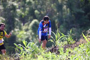 BIB: 
                            <button type="button" onclick="openModal(13210456)" class="btn btn-primary btn-sm float-right btn-popup" data-toggle="modal" data-target=".modal-high-quality">
                        <i class="fas fa-shopping-cart"></i> Add to Cart
                    </button>
                                            <button type="button" onclick="isThisMe(13210456, true)" class="btn btn-success btn-sm float-right btn-popup btn-isme hidden" data-toggle="tooltip" data-placement="bottom" title="นี่คือรูปของคุณใช่ไหม คลิกที่นี่เพื่อเอาเข้าอัลบั้ม">
                        <i class="fas fa-plus"></i> Add to album
                    </button>
                    <button type="button" onclick="isThisMe(13210456, false)" class="btn btn-warning btn-sm float-right btn-popup btn-isnotme hidden">
                        <i class="fas fa-ban"></i> Remove from album
                    </button>