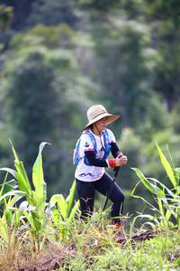 BIB: 
                            <button type="button" onclick="openModal(13211096)" class="btn btn-primary btn-sm float-right btn-popup" data-toggle="modal" data-target=".modal-high-quality">
                        <i class="fas fa-shopping-cart"></i> Add to Cart
                    </button>
                                            <button type="button" onclick="isThisMe(13211096, true)" class="btn btn-success btn-sm float-right btn-popup btn-isme hidden" data-toggle="tooltip" data-placement="bottom" title="นี่คือรูปของคุณใช่ไหม คลิกที่นี่เพื่อเอาเข้าอัลบั้ม">
                        <i class="fas fa-plus"></i> Add to album
                    </button>
                    <button type="button" onclick="isThisMe(13211096, false)" class="btn btn-warning btn-sm float-right btn-popup btn-isnotme hidden">
                        <i class="fas fa-ban"></i> Remove from album
                    </button>