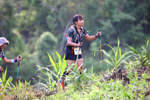 BIB: 
                            <button type="button" onclick="openModal(13209241)" class="btn btn-primary btn-sm float-right btn-popup" data-toggle="modal" data-target=".modal-high-quality">
                        <i class="fas fa-shopping-cart"></i> Add to Cart
                    </button>
                                            <button type="button" onclick="isThisMe(13209241, true)" class="btn btn-success btn-sm float-right btn-popup btn-isme hidden" data-toggle="tooltip" data-placement="bottom" title="นี่คือรูปของคุณใช่ไหม คลิกที่นี่เพื่อเอาเข้าอัลบั้ม">
                        <i class="fas fa-plus"></i> Add to album
                    </button>
                    <button type="button" onclick="isThisMe(13209241, false)" class="btn btn-warning btn-sm float-right btn-popup btn-isnotme hidden">
                        <i class="fas fa-ban"></i> Remove from album
                    </button>