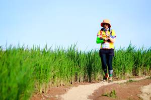 BIB: 
                            <button type="button" onclick="openModal(13296900)" class="btn btn-primary btn-sm float-right btn-popup" data-toggle="modal" data-target=".modal-high-quality">
                        <i class="fas fa-shopping-cart"></i> Add to Cart
                    </button>
                                            <button type="button" onclick="isThisMe(13296900, true)" class="btn btn-success btn-sm float-right btn-popup btn-isme hidden" data-toggle="tooltip" data-placement="bottom" title="นี่คือรูปของคุณใช่ไหม คลิกที่นี่เพื่อเอาเข้าอัลบั้ม">
                        <i class="fas fa-plus"></i> Add to album
                    </button>
                    <button type="button" onclick="isThisMe(13296900, false)" class="btn btn-warning btn-sm float-right btn-popup btn-isnotme hidden">
                        <i class="fas fa-ban"></i> Remove from album
                    </button>