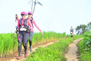 BIB: 
                            <button type="button" onclick="openModal(13243843)" class="btn btn-primary btn-sm float-right btn-popup" data-toggle="modal" data-target=".modal-high-quality">
                        <i class="fas fa-shopping-cart"></i> Add to Cart
                    </button>
                                            <button type="button" onclick="isThisMe(13243843, true)" class="btn btn-success btn-sm float-right btn-popup btn-isme hidden" data-toggle="tooltip" data-placement="bottom" title="นี่คือรูปของคุณใช่ไหม คลิกที่นี่เพื่อเอาเข้าอัลบั้ม">
                        <i class="fas fa-plus"></i> Add to album
                    </button>
                    <button type="button" onclick="isThisMe(13243843, false)" class="btn btn-warning btn-sm float-right btn-popup btn-isnotme hidden">
                        <i class="fas fa-ban"></i> Remove from album
                    </button>