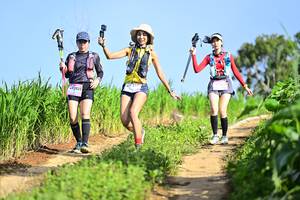 BIB: 2022, , 
                            <button type="button" onclick="openModal(13246420)" class="btn btn-primary btn-sm float-right btn-popup" data-toggle="modal" data-target=".modal-high-quality">
                        <i class="fas fa-shopping-cart"></i> Add to Cart
                    </button>
                                            <button type="button" onclick="isThisMe(13246420, true)" class="btn btn-success btn-sm float-right btn-popup btn-isme hidden" data-toggle="tooltip" data-placement="bottom" title="นี่คือรูปของคุณใช่ไหม คลิกที่นี่เพื่อเอาเข้าอัลบั้ม">
                        <i class="fas fa-plus"></i> Add to album
                    </button>
                    <button type="button" onclick="isThisMe(13246420, false)" class="btn btn-warning btn-sm float-right btn-popup btn-isnotme hidden">
                        <i class="fas fa-ban"></i> Remove from album
                    </button>