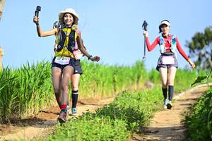 BIB: 2177
                            <button type="button" onclick="openModal(13247760)" class="btn btn-primary btn-sm float-right btn-popup" data-toggle="modal" data-target=".modal-high-quality">
                        <i class="fas fa-shopping-cart"></i> Add to Cart
                    </button>
                                            <button type="button" onclick="isThisMe(13247760, true)" class="btn btn-success btn-sm float-right btn-popup btn-isme hidden" data-toggle="tooltip" data-placement="bottom" title="นี่คือรูปของคุณใช่ไหม คลิกที่นี่เพื่อเอาเข้าอัลบั้ม">
                        <i class="fas fa-plus"></i> Add to album
                    </button>
                    <button type="button" onclick="isThisMe(13247760, false)" class="btn btn-warning btn-sm float-right btn-popup btn-isnotme hidden">
                        <i class="fas fa-ban"></i> Remove from album
                    </button>