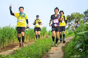 BIB: 4097, 214, 
                            <button type="button" onclick="openModal(13239386)" class="btn btn-primary btn-sm float-right btn-popup" data-toggle="modal" data-target=".modal-high-quality">
                        <i class="fas fa-shopping-cart"></i> Add to Cart
                    </button>
                                            <button type="button" onclick="isThisMe(13239386, true)" class="btn btn-success btn-sm float-right btn-popup btn-isme hidden" data-toggle="tooltip" data-placement="bottom" title="นี่คือรูปของคุณใช่ไหม คลิกที่นี่เพื่อเอาเข้าอัลบั้ม">
                        <i class="fas fa-plus"></i> Add to album
                    </button>
                    <button type="button" onclick="isThisMe(13239386, false)" class="btn btn-warning btn-sm float-right btn-popup btn-isnotme hidden">
                        <i class="fas fa-ban"></i> Remove from album
                    </button>