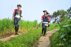 BIB: 
                            <button type="button" onclick="openModal(13239135)" class="btn btn-primary btn-sm float-right btn-popup" data-toggle="modal" data-target=".modal-high-quality">
                        <i class="fas fa-shopping-cart"></i> Add to Cart
                    </button>
                                            <button type="button" onclick="isThisMe(13239135, true)" class="btn btn-success btn-sm float-right btn-popup btn-isme hidden" data-toggle="tooltip" data-placement="bottom" title="นี่คือรูปของคุณใช่ไหม คลิกที่นี่เพื่อเอาเข้าอัลบั้ม">
                        <i class="fas fa-plus"></i> Add to album
                    </button>
                    <button type="button" onclick="isThisMe(13239135, false)" class="btn btn-warning btn-sm float-right btn-popup btn-isnotme hidden">
                        <i class="fas fa-ban"></i> Remove from album
                    </button>