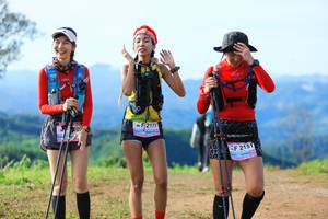 BIB: 209, 2177, 2151
                            <button type="button" onclick="openModal(13253442)" class="btn btn-primary btn-sm float-right btn-popup" data-toggle="modal" data-target=".modal-high-quality">
                        <i class="fas fa-shopping-cart"></i> Add to Cart
                    </button>
                                            <button type="button" onclick="isThisMe(13253442, true)" class="btn btn-success btn-sm float-right btn-popup btn-isme hidden" data-toggle="tooltip" data-placement="bottom" title="นี่คือรูปของคุณใช่ไหม คลิกที่นี่เพื่อเอาเข้าอัลบั้ม">
                        <i class="fas fa-plus"></i> Add to album
                    </button>
                    <button type="button" onclick="isThisMe(13253442, false)" class="btn btn-warning btn-sm float-right btn-popup btn-isnotme hidden">
                        <i class="fas fa-ban"></i> Remove from album
                    </button>