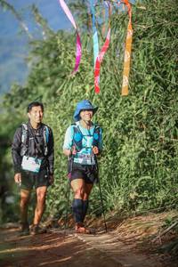 BIB: 
                            <button type="button" onclick="openModal(13316490)" class="btn btn-primary btn-sm float-right btn-popup" data-toggle="modal" data-target=".modal-high-quality">
                        <i class="fas fa-shopping-cart"></i> Add to Cart
                    </button>
                                            <button type="button" onclick="isThisMe(13316490, true)" class="btn btn-success btn-sm float-right btn-popup btn-isme hidden" data-toggle="tooltip" data-placement="bottom" title="นี่คือรูปของคุณใช่ไหม คลิกที่นี่เพื่อเอาเข้าอัลบั้ม">
                        <i class="fas fa-plus"></i> Add to album
                    </button>
                    <button type="button" onclick="isThisMe(13316490, false)" class="btn btn-warning btn-sm float-right btn-popup btn-isnotme hidden">
                        <i class="fas fa-ban"></i> Remove from album
                    </button>