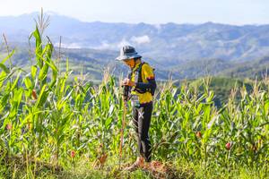 BIB: 1035
                            <button type="button" onclick="openModal(13276968)" class="btn btn-primary btn-sm float-right btn-popup" data-toggle="modal" data-target=".modal-high-quality">
                        <i class="fas fa-shopping-cart"></i> Add to Cart
                    </button>
                                            <button type="button" onclick="isThisMe(13276968, true)" class="btn btn-success btn-sm float-right btn-popup btn-isme hidden" data-toggle="tooltip" data-placement="bottom" title="นี่คือรูปของคุณใช่ไหม คลิกที่นี่เพื่อเอาเข้าอัลบั้ม">
                        <i class="fas fa-plus"></i> Add to album
                    </button>
                    <button type="button" onclick="isThisMe(13276968, false)" class="btn btn-warning btn-sm float-right btn-popup btn-isnotme hidden">
                        <i class="fas fa-ban"></i> Remove from album
                    </button>