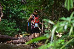 BIB: 610
                            <button type="button" onclick="openModal(13241786)" class="btn btn-primary btn-sm float-right btn-popup" data-toggle="modal" data-target=".modal-high-quality">
                        <i class="fas fa-shopping-cart"></i> Add to Cart
                    </button>
                                            <button type="button" onclick="isThisMe(13241786, true)" class="btn btn-success btn-sm float-right btn-popup btn-isme hidden" data-toggle="tooltip" data-placement="bottom" title="นี่คือรูปของคุณใช่ไหม คลิกที่นี่เพื่อเอาเข้าอัลบั้ม">
                        <i class="fas fa-plus"></i> Add to album
                    </button>
                    <button type="button" onclick="isThisMe(13241786, false)" class="btn btn-warning btn-sm float-right btn-popup btn-isnotme hidden">
                        <i class="fas fa-ban"></i> Remove from album
                    </button>