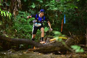 BIB: 
                            <button type="button" onclick="openModal(13241999)" class="btn btn-primary btn-sm float-right btn-popup" data-toggle="modal" data-target=".modal-high-quality">
                        <i class="fas fa-shopping-cart"></i> Add to Cart
                    </button>
                                            <button type="button" onclick="isThisMe(13241999, true)" class="btn btn-success btn-sm float-right btn-popup btn-isme hidden" data-toggle="tooltip" data-placement="bottom" title="นี่คือรูปของคุณใช่ไหม คลิกที่นี่เพื่อเอาเข้าอัลบั้ม">
                        <i class="fas fa-plus"></i> Add to album
                    </button>
                    <button type="button" onclick="isThisMe(13241999, false)" class="btn btn-warning btn-sm float-right btn-popup btn-isnotme hidden">
                        <i class="fas fa-ban"></i> Remove from album
                    </button>