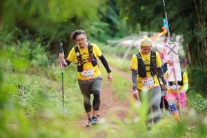 BIB: 2075, 2154
                            <button type="button" onclick="openModal(13302554)" class="btn btn-primary btn-sm float-right btn-popup" data-toggle="modal" data-target=".modal-high-quality">
                        <i class="fas fa-shopping-cart"></i> Add to Cart
                    </button>
                                            <button type="button" onclick="isThisMe(13302554, true)" class="btn btn-success btn-sm float-right btn-popup btn-isme hidden" data-toggle="tooltip" data-placement="bottom" title="นี่คือรูปของคุณใช่ไหม คลิกที่นี่เพื่อเอาเข้าอัลบั้ม">
                        <i class="fas fa-plus"></i> Add to album
                    </button>
                    <button type="button" onclick="isThisMe(13302554, false)" class="btn btn-warning btn-sm float-right btn-popup btn-isnotme hidden">
                        <i class="fas fa-ban"></i> Remove from album
                    </button>