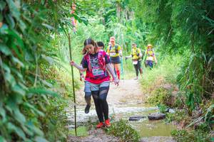 BIB: 
                            <button type="button" onclick="openModal(13323351)" class="btn btn-primary btn-sm float-right btn-popup" data-toggle="modal" data-target=".modal-high-quality">
                        <i class="fas fa-shopping-cart"></i> Add to Cart
                    </button>
                                            <button type="button" onclick="isThisMe(13323351, true)" class="btn btn-success btn-sm float-right btn-popup btn-isme hidden" data-toggle="tooltip" data-placement="bottom" title="นี่คือรูปของคุณใช่ไหม คลิกที่นี่เพื่อเอาเข้าอัลบั้ม">
                        <i class="fas fa-plus"></i> Add to album
                    </button>
                    <button type="button" onclick="isThisMe(13323351, false)" class="btn btn-warning btn-sm float-right btn-popup btn-isnotme hidden">
                        <i class="fas fa-ban"></i> Remove from album
                    </button>