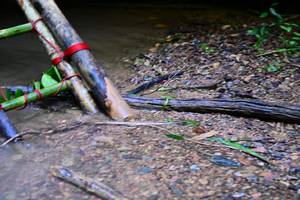 BIB: 
                            <button type="button" onclick="openModal(13245161)" class="btn btn-primary btn-sm float-right btn-popup" data-toggle="modal" data-target=".modal-high-quality">
                        <i class="fas fa-shopping-cart"></i> Add to Cart
                    </button>
                                            <button type="button" onclick="isThisMe(13245161, true)" class="btn btn-success btn-sm float-right btn-popup btn-isme hidden" data-toggle="tooltip" data-placement="bottom" title="นี่คือรูปของคุณใช่ไหม คลิกที่นี่เพื่อเอาเข้าอัลบั้ม">
                        <i class="fas fa-plus"></i> Add to album
                    </button>
                    <button type="button" onclick="isThisMe(13245161, false)" class="btn btn-warning btn-sm float-right btn-popup btn-isnotme hidden">
                        <i class="fas fa-ban"></i> Remove from album
                    </button>