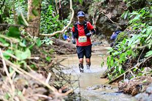 BIB: 4031
                            <button type="button" onclick="openModal(13225773)" class="btn btn-primary btn-sm float-right btn-popup" data-toggle="modal" data-target=".modal-high-quality">
                        <i class="fas fa-shopping-cart"></i> Add to Cart
                    </button>
                                            <button type="button" onclick="isThisMe(13225773, true)" class="btn btn-success btn-sm float-right btn-popup btn-isme hidden" data-toggle="tooltip" data-placement="bottom" title="นี่คือรูปของคุณใช่ไหม คลิกที่นี่เพื่อเอาเข้าอัลบั้ม">
                        <i class="fas fa-plus"></i> Add to album
                    </button>
                    <button type="button" onclick="isThisMe(13225773, false)" class="btn btn-warning btn-sm float-right btn-popup btn-isnotme hidden">
                        <i class="fas fa-ban"></i> Remove from album
                    </button>