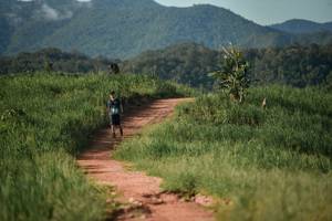 BIB: 
                            <button type="button" onclick="openModal(13223768)" class="btn btn-primary btn-sm float-right btn-popup" data-toggle="modal" data-target=".modal-high-quality">
                        <i class="fas fa-shopping-cart"></i> Add to Cart
                    </button>
                                            <button type="button" onclick="isThisMe(13223768, true)" class="btn btn-success btn-sm float-right btn-popup btn-isme hidden" data-toggle="tooltip" data-placement="bottom" title="นี่คือรูปของคุณใช่ไหม คลิกที่นี่เพื่อเอาเข้าอัลบั้ม">
                        <i class="fas fa-plus"></i> Add to album
                    </button>
                    <button type="button" onclick="isThisMe(13223768, false)" class="btn btn-warning btn-sm float-right btn-popup btn-isnotme hidden">
                        <i class="fas fa-ban"></i> Remove from album
                    </button>