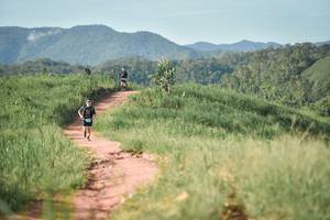 BIB: 
                            <button type="button" onclick="openModal(13223689)" class="btn btn-primary btn-sm float-right btn-popup" data-toggle="modal" data-target=".modal-high-quality">
                        <i class="fas fa-shopping-cart"></i> Add to Cart
                    </button>
                                            <button type="button" onclick="isThisMe(13223689, true)" class="btn btn-success btn-sm float-right btn-popup btn-isme hidden" data-toggle="tooltip" data-placement="bottom" title="นี่คือรูปของคุณใช่ไหม คลิกที่นี่เพื่อเอาเข้าอัลบั้ม">
                        <i class="fas fa-plus"></i> Add to album
                    </button>
                    <button type="button" onclick="isThisMe(13223689, false)" class="btn btn-warning btn-sm float-right btn-popup btn-isnotme hidden">
                        <i class="fas fa-ban"></i> Remove from album
                    </button>