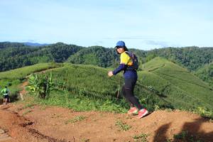 BIB: 
                            <button type="button" onclick="openModal(13322518)" class="btn btn-primary btn-sm float-right btn-popup" data-toggle="modal" data-target=".modal-high-quality">
                        <i class="fas fa-shopping-cart"></i> Add to Cart
                    </button>
                                            <button type="button" onclick="isThisMe(13322518, true)" class="btn btn-success btn-sm float-right btn-popup btn-isme hidden" data-toggle="tooltip" data-placement="bottom" title="นี่คือรูปของคุณใช่ไหม คลิกที่นี่เพื่อเอาเข้าอัลบั้ม">
                        <i class="fas fa-plus"></i> Add to album
                    </button>
                    <button type="button" onclick="isThisMe(13322518, false)" class="btn btn-warning btn-sm float-right btn-popup btn-isnotme hidden">
                        <i class="fas fa-ban"></i> Remove from album
                    </button>