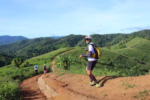 BIB: 
                            <button type="button" onclick="openModal(13258781)" class="btn btn-primary btn-sm float-right btn-popup" data-toggle="modal" data-target=".modal-high-quality">
                        <i class="fas fa-shopping-cart"></i> Add to Cart
                    </button>
                                            <button type="button" onclick="isThisMe(13258781, true)" class="btn btn-success btn-sm float-right btn-popup btn-isme hidden" data-toggle="tooltip" data-placement="bottom" title="นี่คือรูปของคุณใช่ไหม คลิกที่นี่เพื่อเอาเข้าอัลบั้ม">
                        <i class="fas fa-plus"></i> Add to album
                    </button>
                    <button type="button" onclick="isThisMe(13258781, false)" class="btn btn-warning btn-sm float-right btn-popup btn-isnotme hidden">
                        <i class="fas fa-ban"></i> Remove from album
                    </button>