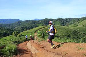 BIB: 
                            <button type="button" onclick="openModal(13258830)" class="btn btn-primary btn-sm float-right btn-popup" data-toggle="modal" data-target=".modal-high-quality">
                        <i class="fas fa-shopping-cart"></i> Add to Cart
                    </button>
                                            <button type="button" onclick="isThisMe(13258830, true)" class="btn btn-success btn-sm float-right btn-popup btn-isme hidden" data-toggle="tooltip" data-placement="bottom" title="นี่คือรูปของคุณใช่ไหม คลิกที่นี่เพื่อเอาเข้าอัลบั้ม">
                        <i class="fas fa-plus"></i> Add to album
                    </button>
                    <button type="button" onclick="isThisMe(13258830, false)" class="btn btn-warning btn-sm float-right btn-popup btn-isnotme hidden">
                        <i class="fas fa-ban"></i> Remove from album
                    </button>