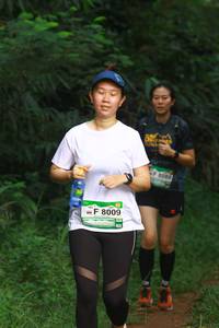 BIB: 089, 8009
                            <button type="button" onclick="openModal(13212407)" class="btn btn-primary btn-sm float-right btn-popup" data-toggle="modal" data-target=".modal-high-quality">
                        <i class="fas fa-shopping-cart"></i> Add to Cart
                    </button>
                                            <button type="button" onclick="isThisMe(13212407, true)" class="btn btn-success btn-sm float-right btn-popup btn-isme hidden" data-toggle="tooltip" data-placement="bottom" title="นี่คือรูปของคุณใช่ไหม คลิกที่นี่เพื่อเอาเข้าอัลบั้ม">
                        <i class="fas fa-plus"></i> Add to album
                    </button>
                    <button type="button" onclick="isThisMe(13212407, false)" class="btn btn-warning btn-sm float-right btn-popup btn-isnotme hidden">
                        <i class="fas fa-ban"></i> Remove from album
                    </button>