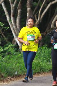 BIB: 106, 8055
                            <button type="button" onclick="openModal(13213201)" class="btn btn-primary btn-sm float-right btn-popup" data-toggle="modal" data-target=".modal-high-quality">
                        <i class="fas fa-shopping-cart"></i> Add to Cart
                    </button>
                                            <button type="button" onclick="isThisMe(13213201, true)" class="btn btn-success btn-sm float-right btn-popup btn-isme hidden" data-toggle="tooltip" data-placement="bottom" title="นี่คือรูปของคุณใช่ไหม คลิกที่นี่เพื่อเอาเข้าอัลบั้ม">
                        <i class="fas fa-plus"></i> Add to album
                    </button>
                    <button type="button" onclick="isThisMe(13213201, false)" class="btn btn-warning btn-sm float-right btn-popup btn-isnotme hidden">
                        <i class="fas fa-ban"></i> Remove from album
                    </button>