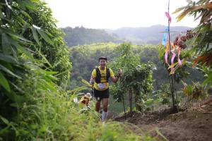 BIB: 
                            <button type="button" onclick="openModal(13214538)" class="btn btn-primary btn-sm float-right btn-popup" data-toggle="modal" data-target=".modal-high-quality">
                        <i class="fas fa-shopping-cart"></i> Add to Cart
                    </button>
                                            <button type="button" onclick="isThisMe(13214538, true)" class="btn btn-success btn-sm float-right btn-popup btn-isme hidden" data-toggle="tooltip" data-placement="bottom" title="นี่คือรูปของคุณใช่ไหม คลิกที่นี่เพื่อเอาเข้าอัลบั้ม">
                        <i class="fas fa-plus"></i> Add to album
                    </button>
                    <button type="button" onclick="isThisMe(13214538, false)" class="btn btn-warning btn-sm float-right btn-popup btn-isnotme hidden">
                        <i class="fas fa-ban"></i> Remove from album
                    </button>