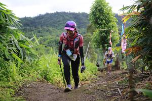 BIB: 
                            <button type="button" onclick="openModal(13214138)" class="btn btn-primary btn-sm float-right btn-popup" data-toggle="modal" data-target=".modal-high-quality">
                        <i class="fas fa-shopping-cart"></i> Add to Cart
                    </button>
                                            <button type="button" onclick="isThisMe(13214138, true)" class="btn btn-success btn-sm float-right btn-popup btn-isme hidden" data-toggle="tooltip" data-placement="bottom" title="นี่คือรูปของคุณใช่ไหม คลิกที่นี่เพื่อเอาเข้าอัลบั้ม">
                        <i class="fas fa-plus"></i> Add to album
                    </button>
                    <button type="button" onclick="isThisMe(13214138, false)" class="btn btn-warning btn-sm float-right btn-popup btn-isnotme hidden">
                        <i class="fas fa-ban"></i> Remove from album
                    </button>