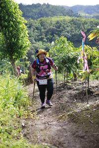 BIB: 2016
                            <button type="button" onclick="openModal(13220158)" class="btn btn-primary btn-sm float-right btn-popup" data-toggle="modal" data-target=".modal-high-quality">
                        <i class="fas fa-shopping-cart"></i> Add to Cart
                    </button>
                                            <button type="button" onclick="isThisMe(13220158, true)" class="btn btn-success btn-sm float-right btn-popup btn-isme hidden" data-toggle="tooltip" data-placement="bottom" title="นี่คือรูปของคุณใช่ไหม คลิกที่นี่เพื่อเอาเข้าอัลบั้ม">
                        <i class="fas fa-plus"></i> Add to album
                    </button>
                    <button type="button" onclick="isThisMe(13220158, false)" class="btn btn-warning btn-sm float-right btn-popup btn-isnotme hidden">
                        <i class="fas fa-ban"></i> Remove from album
                    </button>