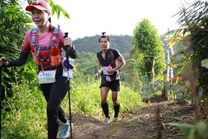 BIB: 4202
                            <button type="button" onclick="openModal(13213983)" class="btn btn-primary btn-sm float-right btn-popup" data-toggle="modal" data-target=".modal-high-quality">
                        <i class="fas fa-shopping-cart"></i> Add to Cart
                    </button>
                                            <button type="button" onclick="isThisMe(13213983, true)" class="btn btn-success btn-sm float-right btn-popup btn-isme hidden" data-toggle="tooltip" data-placement="bottom" title="นี่คือรูปของคุณใช่ไหม คลิกที่นี่เพื่อเอาเข้าอัลบั้ม">
                        <i class="fas fa-plus"></i> Add to album
                    </button>
                    <button type="button" onclick="isThisMe(13213983, false)" class="btn btn-warning btn-sm float-right btn-popup btn-isnotme hidden">
                        <i class="fas fa-ban"></i> Remove from album
                    </button>