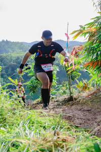 BIB: 2145
                            <button type="button" onclick="openModal(13210191)" class="btn btn-primary btn-sm float-right btn-popup" data-toggle="modal" data-target=".modal-high-quality">
                        <i class="fas fa-shopping-cart"></i> Add to Cart
                    </button>
                                            <button type="button" onclick="isThisMe(13210191, true)" class="btn btn-success btn-sm float-right btn-popup btn-isme hidden" data-toggle="tooltip" data-placement="bottom" title="นี่คือรูปของคุณใช่ไหม คลิกที่นี่เพื่อเอาเข้าอัลบั้ม">
                        <i class="fas fa-plus"></i> Add to album
                    </button>
                    <button type="button" onclick="isThisMe(13210191, false)" class="btn btn-warning btn-sm float-right btn-popup btn-isnotme hidden">
                        <i class="fas fa-ban"></i> Remove from album
                    </button>