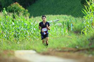 BIB: 214
                            <button type="button" onclick="openModal(13229255)" class="btn btn-primary btn-sm float-right btn-popup" data-toggle="modal" data-target=".modal-high-quality">
                        <i class="fas fa-shopping-cart"></i> Add to Cart
                    </button>
                                            <button type="button" onclick="isThisMe(13229255, true)" class="btn btn-success btn-sm float-right btn-popup btn-isme hidden" data-toggle="tooltip" data-placement="bottom" title="นี่คือรูปของคุณใช่ไหม คลิกที่นี่เพื่อเอาเข้าอัลบั้ม">
                        <i class="fas fa-plus"></i> Add to album
                    </button>
                    <button type="button" onclick="isThisMe(13229255, false)" class="btn btn-warning btn-sm float-right btn-popup btn-isnotme hidden">
                        <i class="fas fa-ban"></i> Remove from album
                    </button>