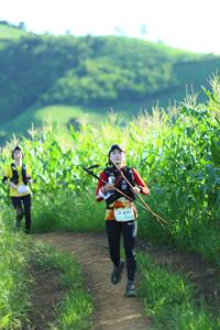 BIB: 4181
                            <button type="button" onclick="openModal(13230302)" class="btn btn-primary btn-sm float-right btn-popup" data-toggle="modal" data-target=".modal-high-quality">
                        <i class="fas fa-shopping-cart"></i> Add to Cart
                    </button>
                                            <button type="button" onclick="isThisMe(13230302, true)" class="btn btn-success btn-sm float-right btn-popup btn-isme hidden" data-toggle="tooltip" data-placement="bottom" title="นี่คือรูปของคุณใช่ไหม คลิกที่นี่เพื่อเอาเข้าอัลบั้ม">
                        <i class="fas fa-plus"></i> Add to album
                    </button>
                    <button type="button" onclick="isThisMe(13230302, false)" class="btn btn-warning btn-sm float-right btn-popup btn-isnotme hidden">
                        <i class="fas fa-ban"></i> Remove from album
                    </button>