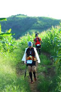 BIB: 
                            <button type="button" onclick="openModal(13229881)" class="btn btn-primary btn-sm float-right btn-popup" data-toggle="modal" data-target=".modal-high-quality">
                        <i class="fas fa-shopping-cart"></i> Add to Cart
                    </button>
                                            <button type="button" onclick="isThisMe(13229881, true)" class="btn btn-success btn-sm float-right btn-popup btn-isme hidden" data-toggle="tooltip" data-placement="bottom" title="นี่คือรูปของคุณใช่ไหม คลิกที่นี่เพื่อเอาเข้าอัลบั้ม">
                        <i class="fas fa-plus"></i> Add to album
                    </button>
                    <button type="button" onclick="isThisMe(13229881, false)" class="btn btn-warning btn-sm float-right btn-popup btn-isnotme hidden">
                        <i class="fas fa-ban"></i> Remove from album
                    </button>