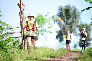 BIB: 241
                            <button type="button" onclick="openModal(13251876)" class="btn btn-primary btn-sm float-right btn-popup" data-toggle="modal" data-target=".modal-high-quality">
                        <i class="fas fa-shopping-cart"></i> Add to Cart
                    </button>
                                            <button type="button" onclick="isThisMe(13251876, true)" class="btn btn-success btn-sm float-right btn-popup btn-isme hidden" data-toggle="tooltip" data-placement="bottom" title="นี่คือรูปของคุณใช่ไหม คลิกที่นี่เพื่อเอาเข้าอัลบั้ม">
                        <i class="fas fa-plus"></i> Add to album
                    </button>
                    <button type="button" onclick="isThisMe(13251876, false)" class="btn btn-warning btn-sm float-right btn-popup btn-isnotme hidden">
                        <i class="fas fa-ban"></i> Remove from album
                    </button>