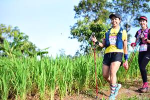 BIB: 294
                            <button type="button" onclick="openModal(13247223)" class="btn btn-primary btn-sm float-right btn-popup" data-toggle="modal" data-target=".modal-high-quality">
                        <i class="fas fa-shopping-cart"></i> Add to Cart
                    </button>
                                            <button type="button" onclick="isThisMe(13247223, true)" class="btn btn-success btn-sm float-right btn-popup btn-isme hidden" data-toggle="tooltip" data-placement="bottom" title="นี่คือรูปของคุณใช่ไหม คลิกที่นี่เพื่อเอาเข้าอัลบั้ม">
                        <i class="fas fa-plus"></i> Add to album
                    </button>
                    <button type="button" onclick="isThisMe(13247223, false)" class="btn btn-warning btn-sm float-right btn-popup btn-isnotme hidden">
                        <i class="fas fa-ban"></i> Remove from album
                    </button>