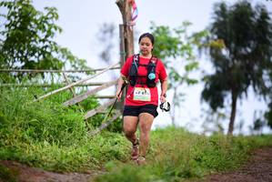 BIB: 412
                            <button type="button" onclick="openModal(13242328)" class="btn btn-primary btn-sm float-right btn-popup" data-toggle="modal" data-target=".modal-high-quality">
                        <i class="fas fa-shopping-cart"></i> Add to Cart
                    </button>
                                            <button type="button" onclick="isThisMe(13242328, true)" class="btn btn-success btn-sm float-right btn-popup btn-isme hidden" data-toggle="tooltip" data-placement="bottom" title="นี่คือรูปของคุณใช่ไหม คลิกที่นี่เพื่อเอาเข้าอัลบั้ม">
                        <i class="fas fa-plus"></i> Add to album
                    </button>
                    <button type="button" onclick="isThisMe(13242328, false)" class="btn btn-warning btn-sm float-right btn-popup btn-isnotme hidden">
                        <i class="fas fa-ban"></i> Remove from album
                    </button>