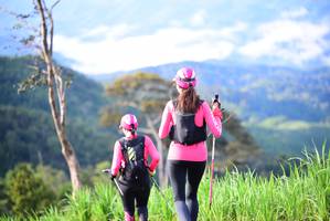 BIB: 
                            <button type="button" onclick="openModal(13242603)" class="btn btn-primary btn-sm float-right btn-popup" data-toggle="modal" data-target=".modal-high-quality">
                        <i class="fas fa-shopping-cart"></i> Add to Cart
                    </button>
                                            <button type="button" onclick="isThisMe(13242603, true)" class="btn btn-success btn-sm float-right btn-popup btn-isme hidden" data-toggle="tooltip" data-placement="bottom" title="นี่คือรูปของคุณใช่ไหม คลิกที่นี่เพื่อเอาเข้าอัลบั้ม">
                        <i class="fas fa-plus"></i> Add to album
                    </button>
                    <button type="button" onclick="isThisMe(13242603, false)" class="btn btn-warning btn-sm float-right btn-popup btn-isnotme hidden">
                        <i class="fas fa-ban"></i> Remove from album
                    </button>