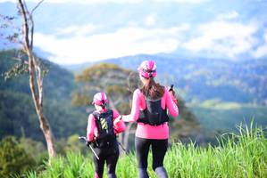 BIB: 
                            <button type="button" onclick="openModal(13242577)" class="btn btn-primary btn-sm float-right btn-popup" data-toggle="modal" data-target=".modal-high-quality">
                        <i class="fas fa-shopping-cart"></i> Add to Cart
                    </button>
                                            <button type="button" onclick="isThisMe(13242577, true)" class="btn btn-success btn-sm float-right btn-popup btn-isme hidden" data-toggle="tooltip" data-placement="bottom" title="นี่คือรูปของคุณใช่ไหม คลิกที่นี่เพื่อเอาเข้าอัลบั้ม">
                        <i class="fas fa-plus"></i> Add to album
                    </button>
                    <button type="button" onclick="isThisMe(13242577, false)" class="btn btn-warning btn-sm float-right btn-popup btn-isnotme hidden">
                        <i class="fas fa-ban"></i> Remove from album
                    </button>