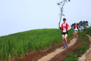 BIB: 
                            <button type="button" onclick="openModal(13304475)" class="btn btn-primary btn-sm float-right btn-popup" data-toggle="modal" data-target=".modal-high-quality">
                        <i class="fas fa-shopping-cart"></i> Add to Cart
                    </button>
                                            <button type="button" onclick="isThisMe(13304475, true)" class="btn btn-success btn-sm float-right btn-popup btn-isme hidden" data-toggle="tooltip" data-placement="bottom" title="นี่คือรูปของคุณใช่ไหม คลิกที่นี่เพื่อเอาเข้าอัลบั้ม">
                        <i class="fas fa-plus"></i> Add to album
                    </button>
                    <button type="button" onclick="isThisMe(13304475, false)" class="btn btn-warning btn-sm float-right btn-popup btn-isnotme hidden">
                        <i class="fas fa-ban"></i> Remove from album
                    </button>