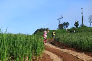 BIB: 
                            <button type="button" onclick="openModal(13305329)" class="btn btn-primary btn-sm float-right btn-popup" data-toggle="modal" data-target=".modal-high-quality">
                        <i class="fas fa-shopping-cart"></i> Add to Cart
                    </button>
                                            <button type="button" onclick="isThisMe(13305329, true)" class="btn btn-success btn-sm float-right btn-popup btn-isme hidden" data-toggle="tooltip" data-placement="bottom" title="นี่คือรูปของคุณใช่ไหม คลิกที่นี่เพื่อเอาเข้าอัลบั้ม">
                        <i class="fas fa-plus"></i> Add to album
                    </button>
                    <button type="button" onclick="isThisMe(13305329, false)" class="btn btn-warning btn-sm float-right btn-popup btn-isnotme hidden">
                        <i class="fas fa-ban"></i> Remove from album
                    </button>