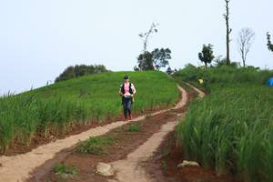 BIB: 
                            <button type="button" onclick="openModal(13304455)" class="btn btn-primary btn-sm float-right btn-popup" data-toggle="modal" data-target=".modal-high-quality">
                        <i class="fas fa-shopping-cart"></i> Add to Cart
                    </button>
                                            <button type="button" onclick="isThisMe(13304455, true)" class="btn btn-success btn-sm float-right btn-popup btn-isme hidden" data-toggle="tooltip" data-placement="bottom" title="นี่คือรูปของคุณใช่ไหม คลิกที่นี่เพื่อเอาเข้าอัลบั้ม">
                        <i class="fas fa-plus"></i> Add to album
                    </button>
                    <button type="button" onclick="isThisMe(13304455, false)" class="btn btn-warning btn-sm float-right btn-popup btn-isnotme hidden">
                        <i class="fas fa-ban"></i> Remove from album
                    </button>