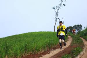 BIB: 
                            <button type="button" onclick="openModal(13304511)" class="btn btn-primary btn-sm float-right btn-popup" data-toggle="modal" data-target=".modal-high-quality">
                        <i class="fas fa-shopping-cart"></i> Add to Cart
                    </button>
                                            <button type="button" onclick="isThisMe(13304511, true)" class="btn btn-success btn-sm float-right btn-popup btn-isme hidden" data-toggle="tooltip" data-placement="bottom" title="นี่คือรูปของคุณใช่ไหม คลิกที่นี่เพื่อเอาเข้าอัลบั้ม">
                        <i class="fas fa-plus"></i> Add to album
                    </button>
                    <button type="button" onclick="isThisMe(13304511, false)" class="btn btn-warning btn-sm float-right btn-popup btn-isnotme hidden">
                        <i class="fas fa-ban"></i> Remove from album
                    </button>