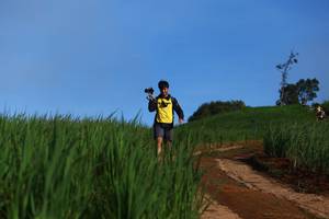 BIB: 
                            <button type="button" onclick="openModal(13305663)" class="btn btn-primary btn-sm float-right btn-popup" data-toggle="modal" data-target=".modal-high-quality">
                        <i class="fas fa-shopping-cart"></i> Add to Cart
                    </button>
                                            <button type="button" onclick="isThisMe(13305663, true)" class="btn btn-success btn-sm float-right btn-popup btn-isme hidden" data-toggle="tooltip" data-placement="bottom" title="นี่คือรูปของคุณใช่ไหม คลิกที่นี่เพื่อเอาเข้าอัลบั้ม">
                        <i class="fas fa-plus"></i> Add to album
                    </button>
                    <button type="button" onclick="isThisMe(13305663, false)" class="btn btn-warning btn-sm float-right btn-popup btn-isnotme hidden">
                        <i class="fas fa-ban"></i> Remove from album
                    </button>